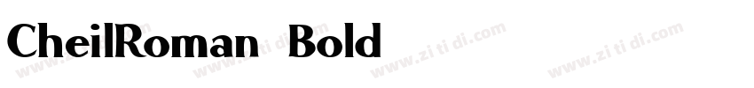 CheilRoman Bold字体转换